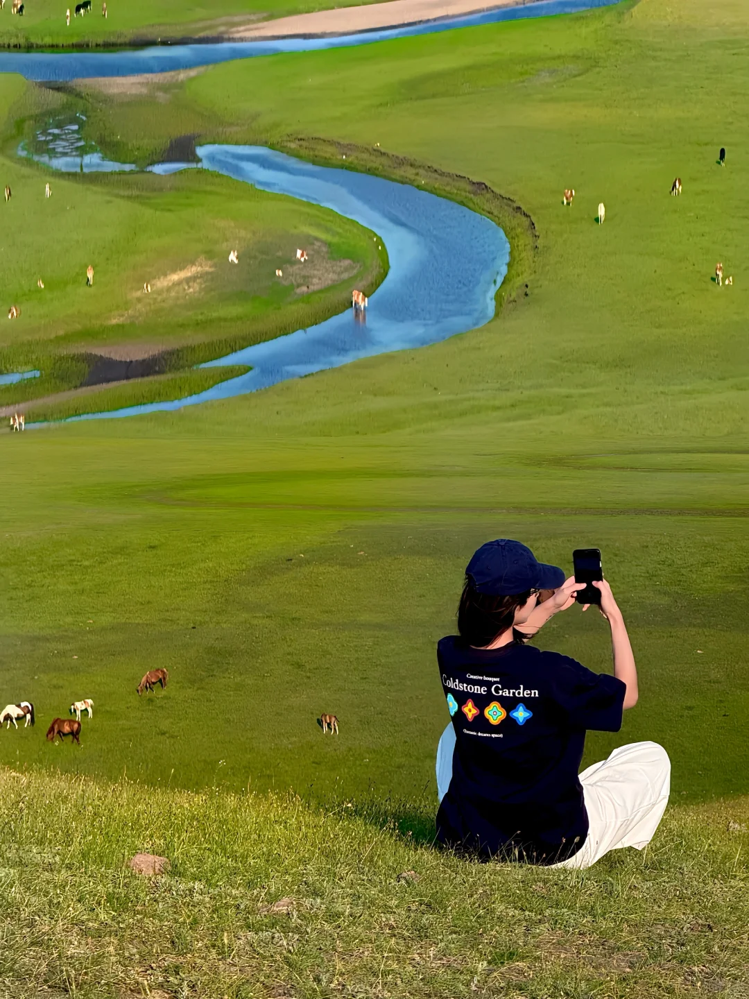 📱信号消失 • 生命信号满格🌿