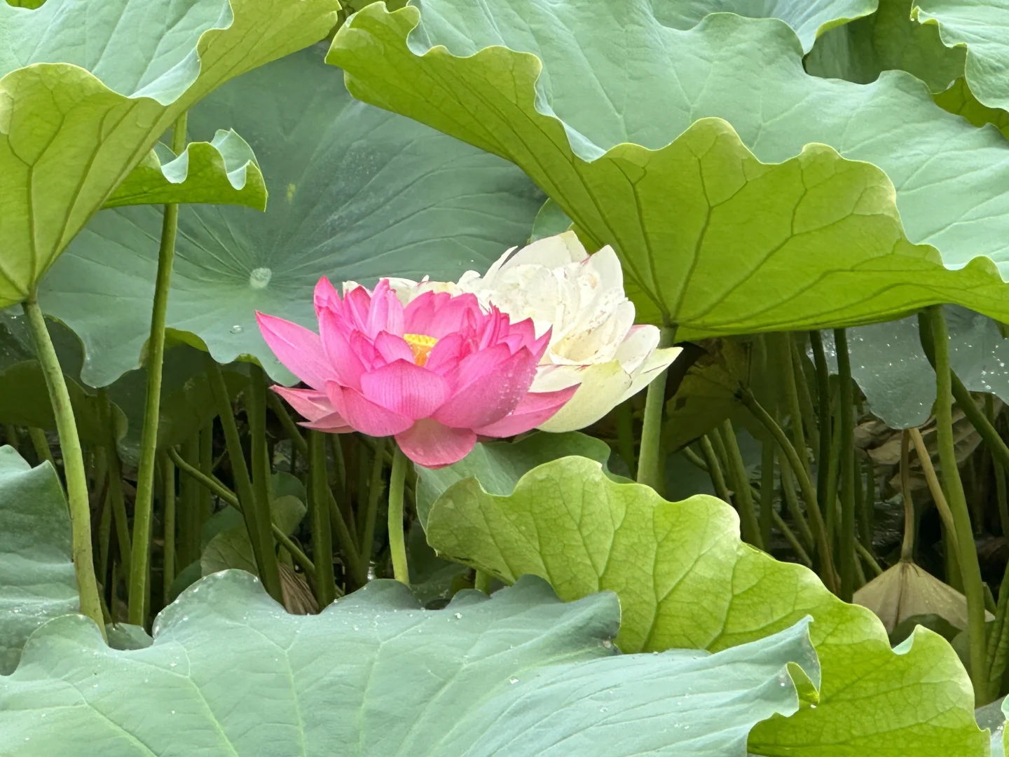 一定要带孩子去一次｜云南小众旅游路线🚄