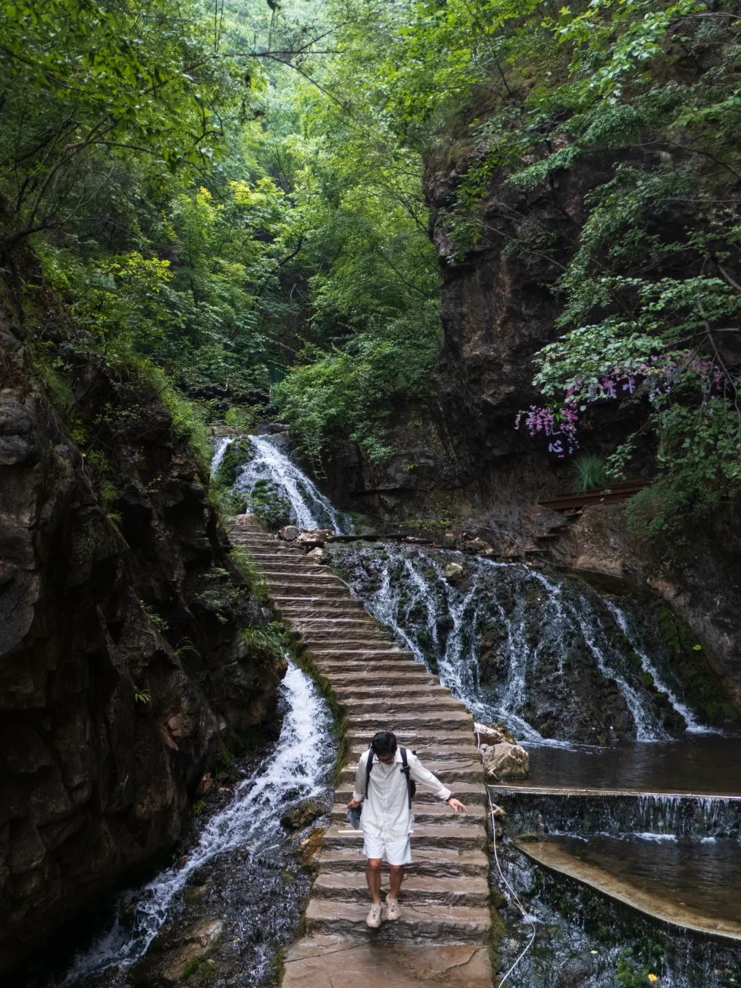 真的有被洛阳浪漫到❤️