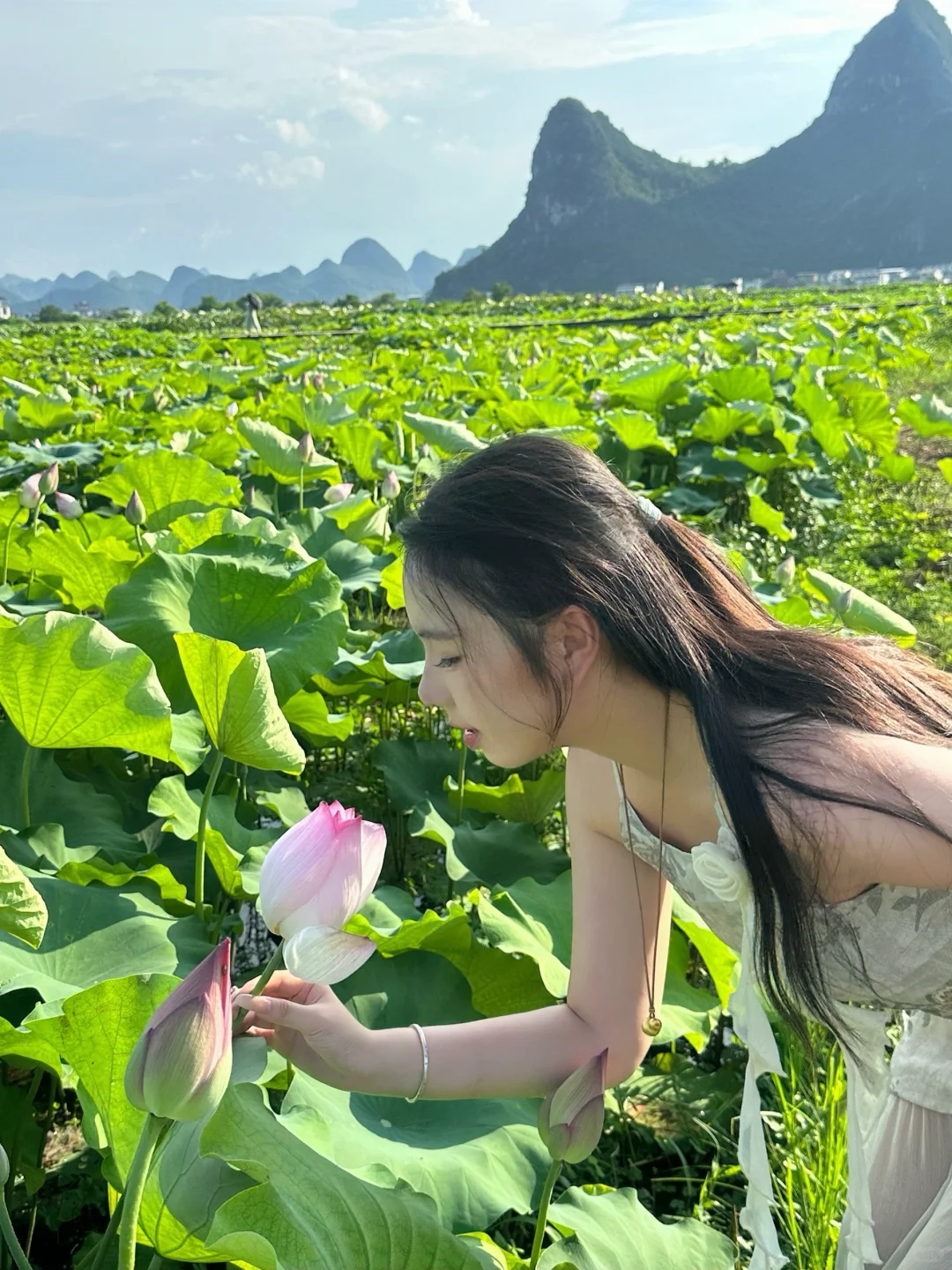 在柳州❗️带我的狗狗去百朋看荷花🪷