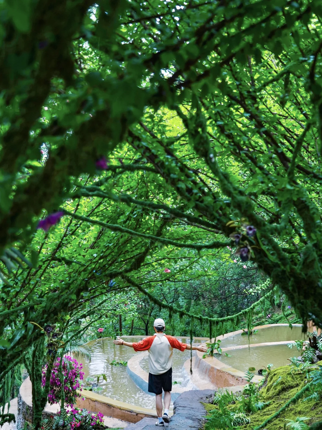 山东曾经的省会对面有森林仙境🍃暑假新去处