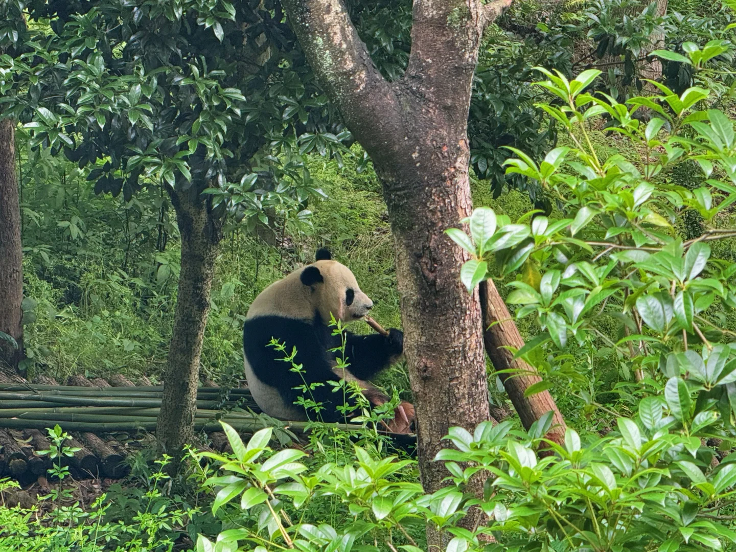 贵阳 一个臭烘烘但很好吃的城市