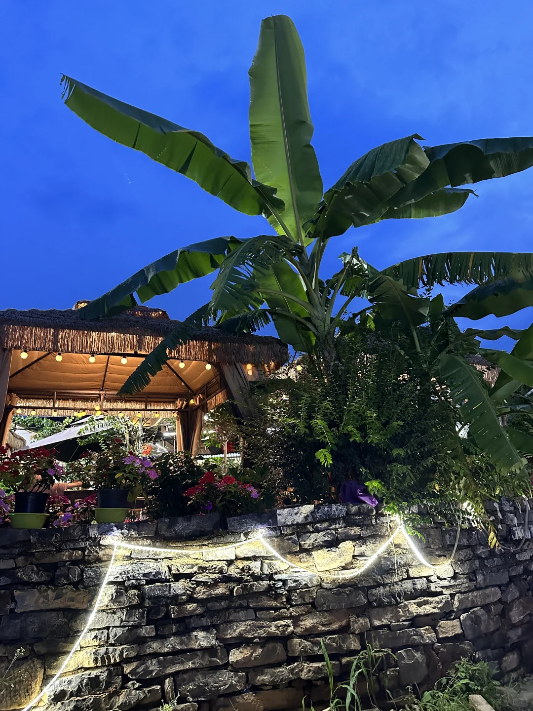 一定要带孩子去一次｜云南小众旅游路线🚄