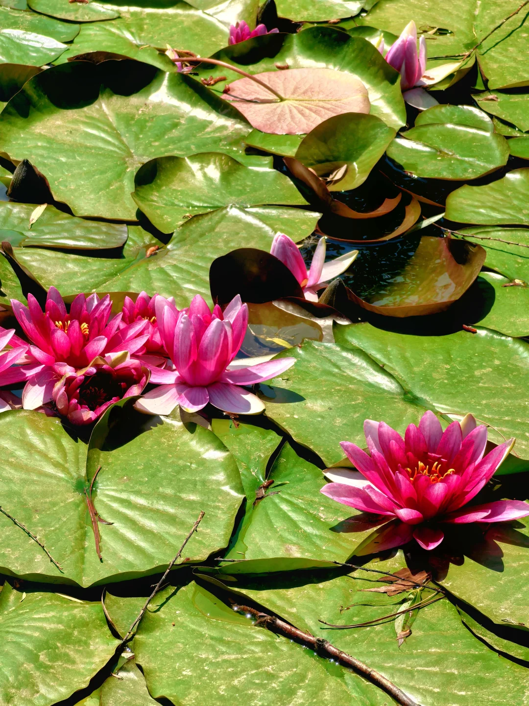 早知有盘山 何必下江南