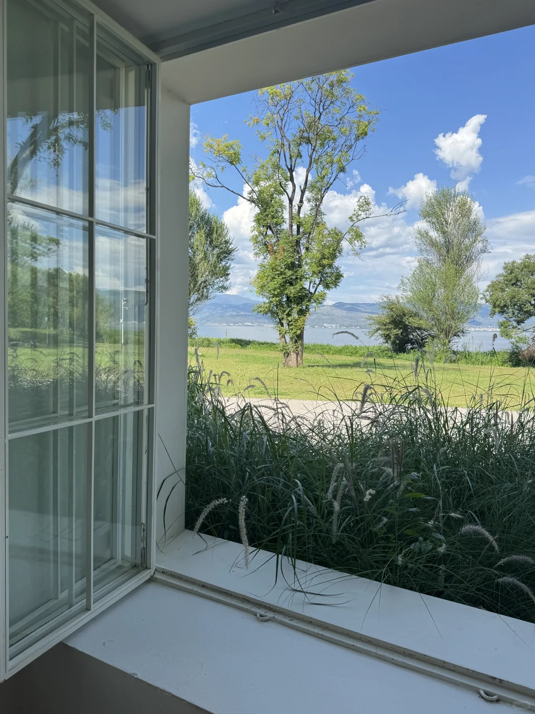 人在大理的Day2️⃣：这样的玩法 没踩任何坑🔥