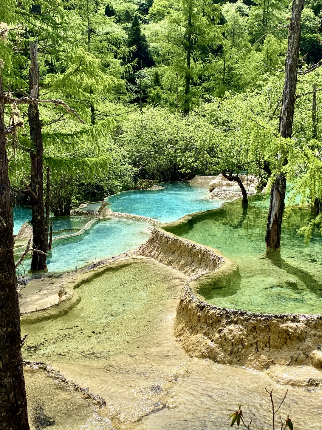 黄龙争艳池&五彩池💙💚