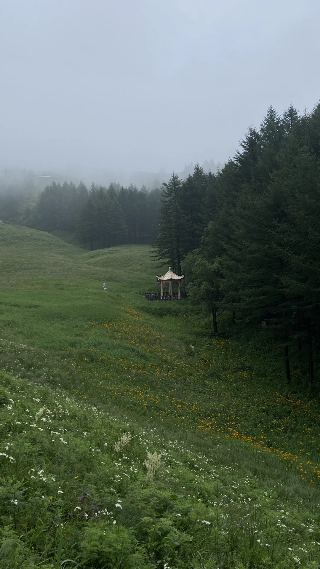 驼梁山风景区⛰太凉快了️