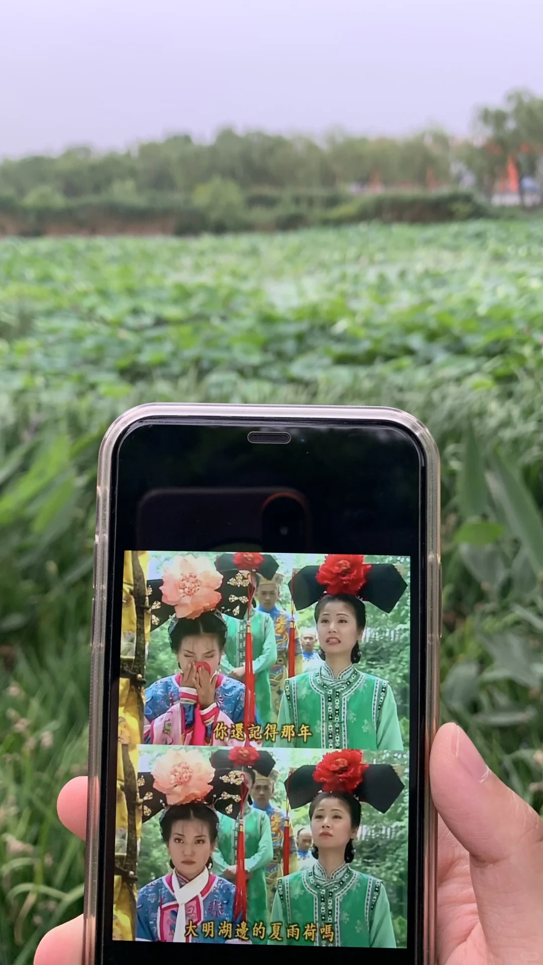 总得来趟老舍笔下的济南