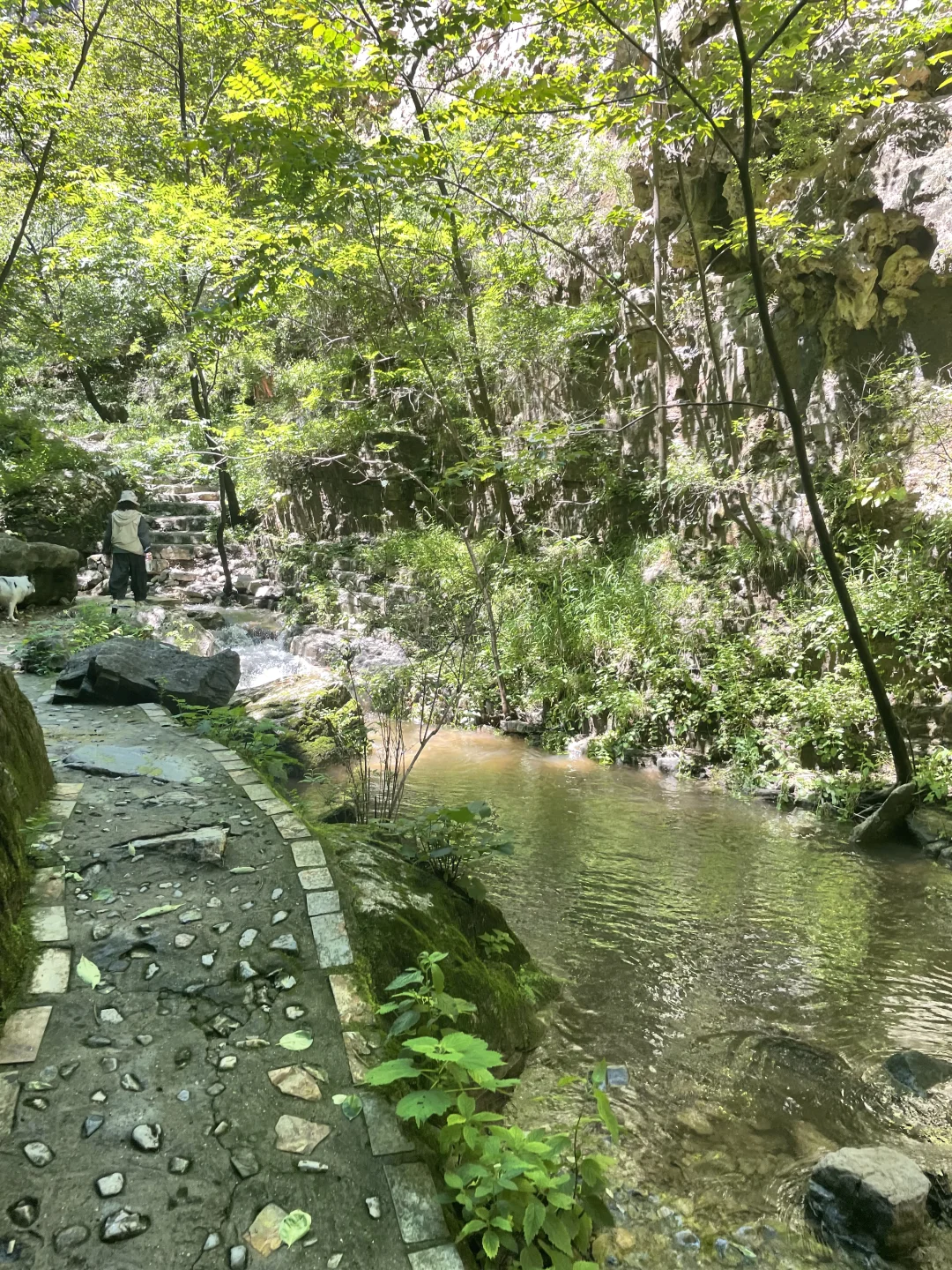 夏日避暑宝藏地|赶快躲进这天然氧吧🍃
