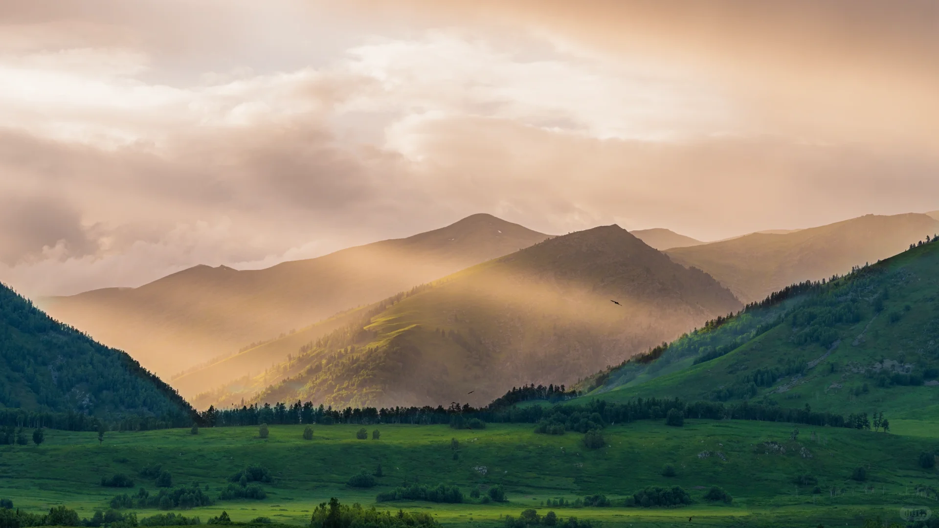 阿勒泰禾木|大自然遗落人间的油墨画🎨