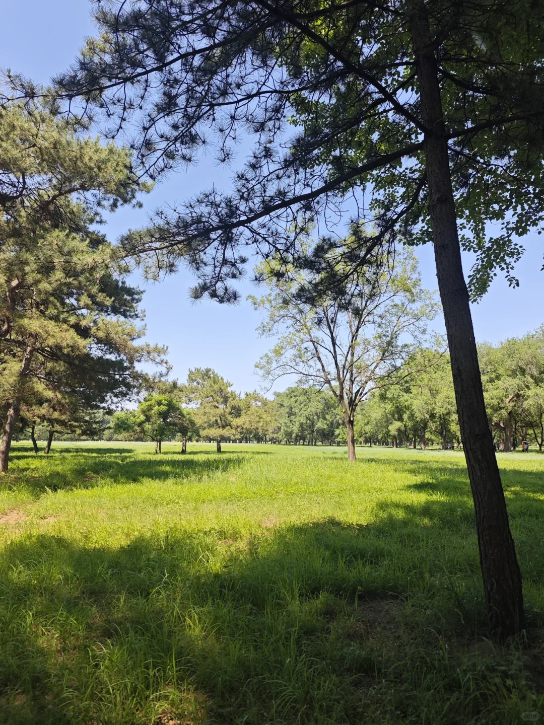 📍承德｜避暑山庄 来看看小燕子的漱芳斋