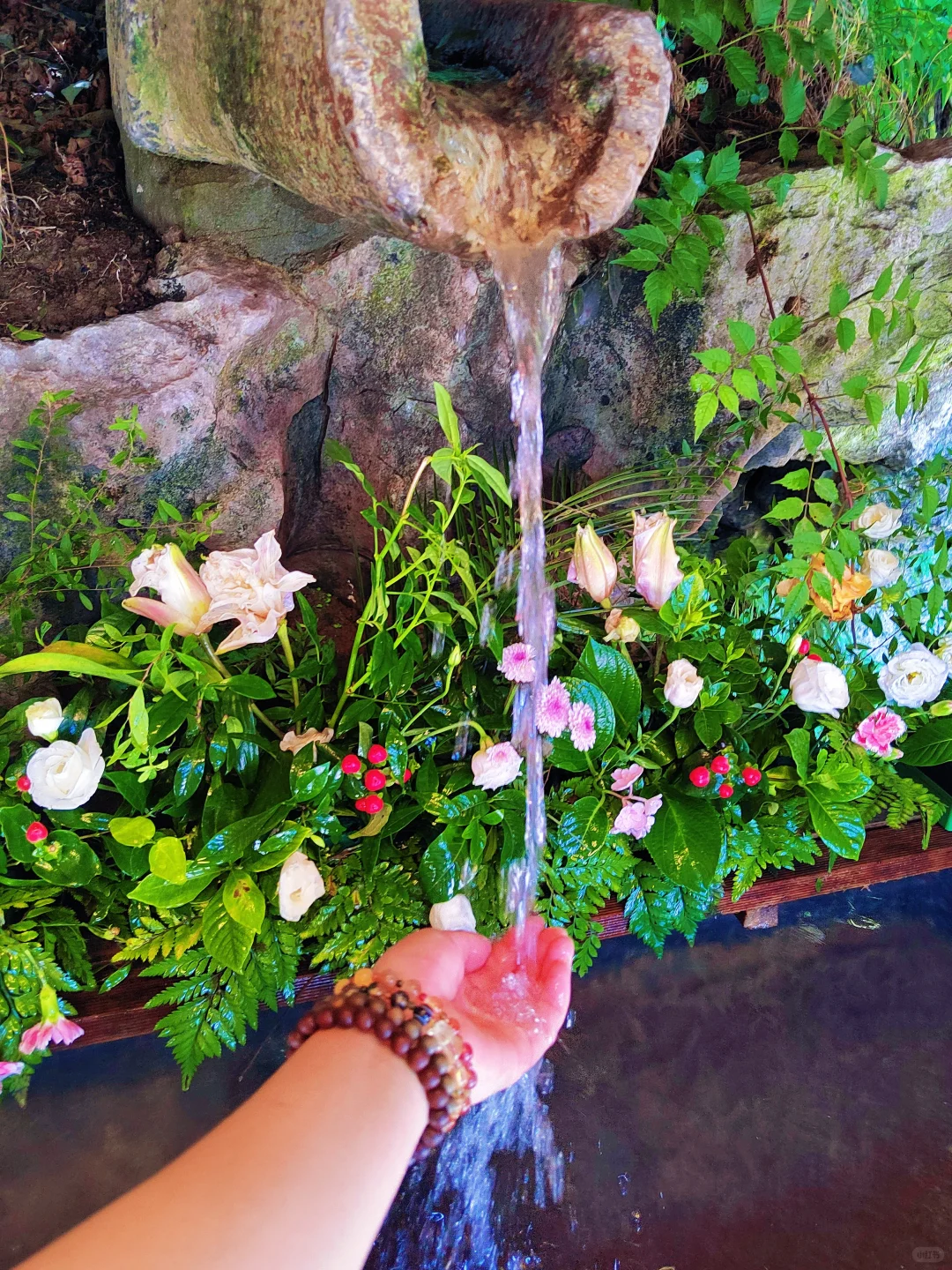 杭州灵隐寺|禅意千年,心归处