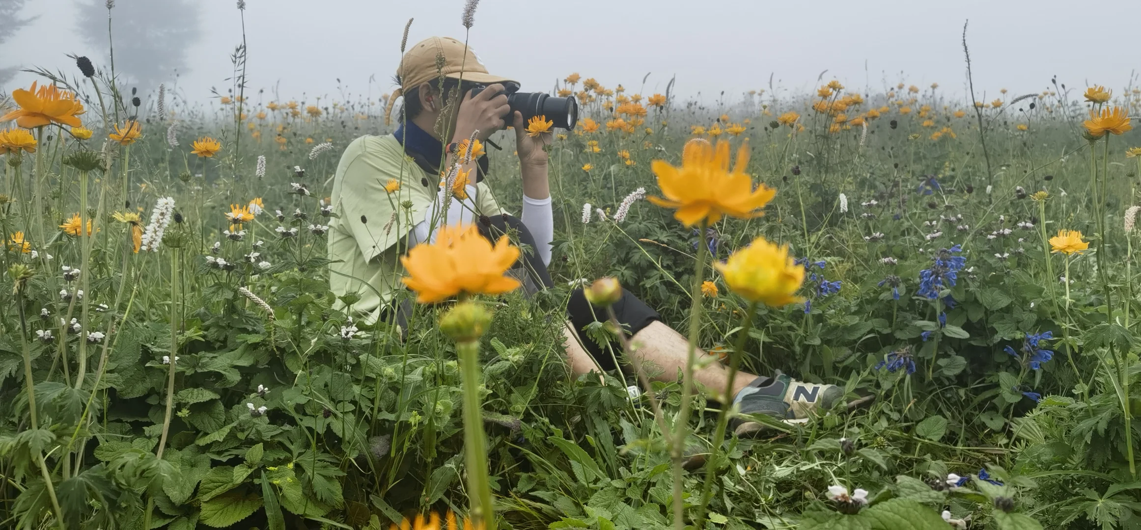 南北驼梁——看最美金莲花