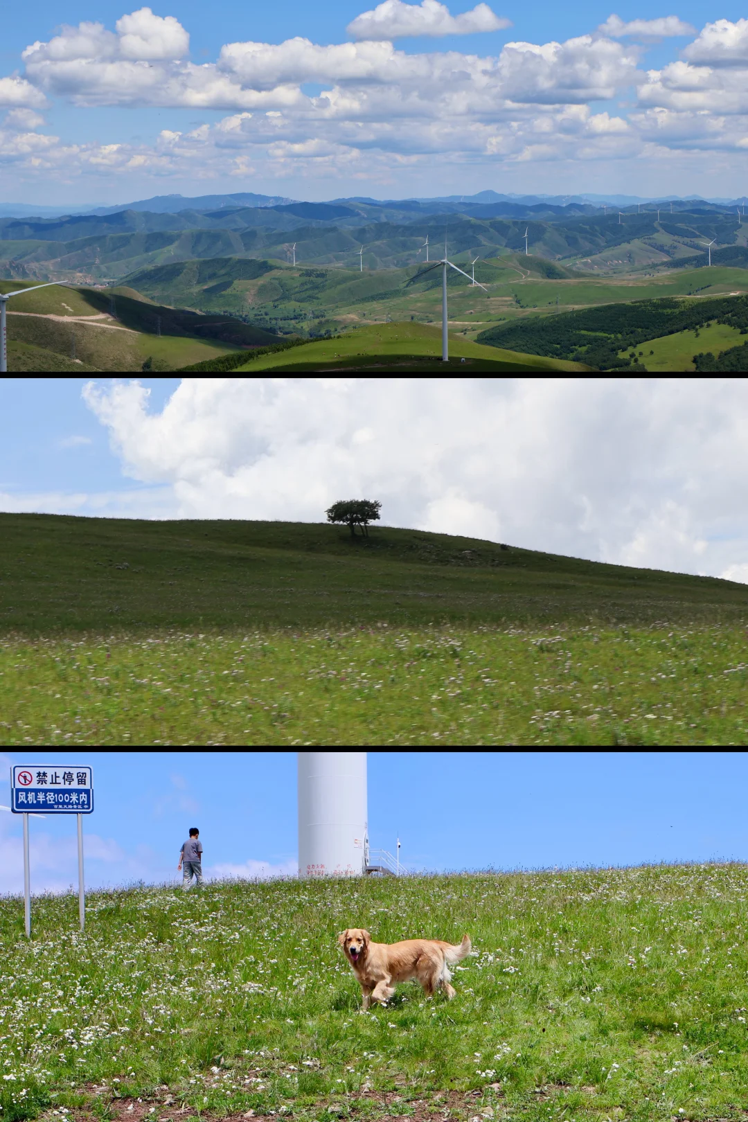 📷24｜逃离北京之河北承德百里天路（附攻略）