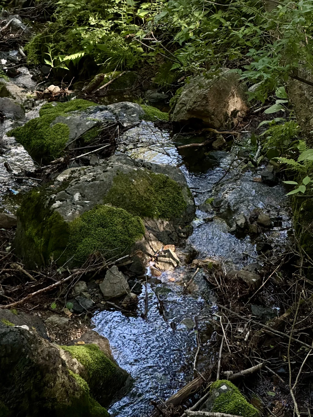 京郊阿勒泰✧🧺...𝙃𝙖𝙥𝙥𝙞𝙣𝙚𝙨𝙨 ˡ̵˖☻˚