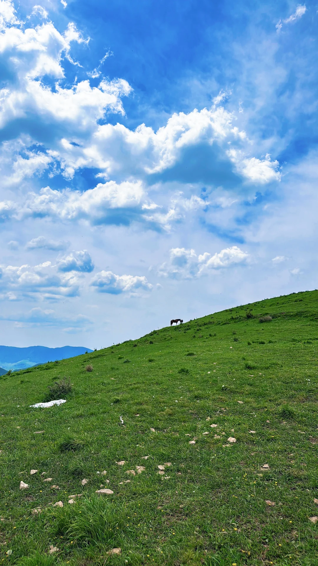 河北小阿勒泰 人少 整个山头都是你的！