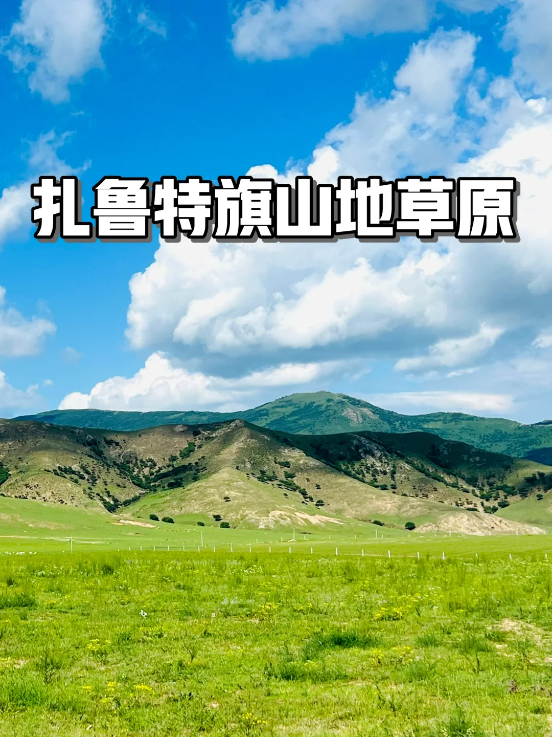 这样的草原谁不爱呢🐎离辽宁很近的草原