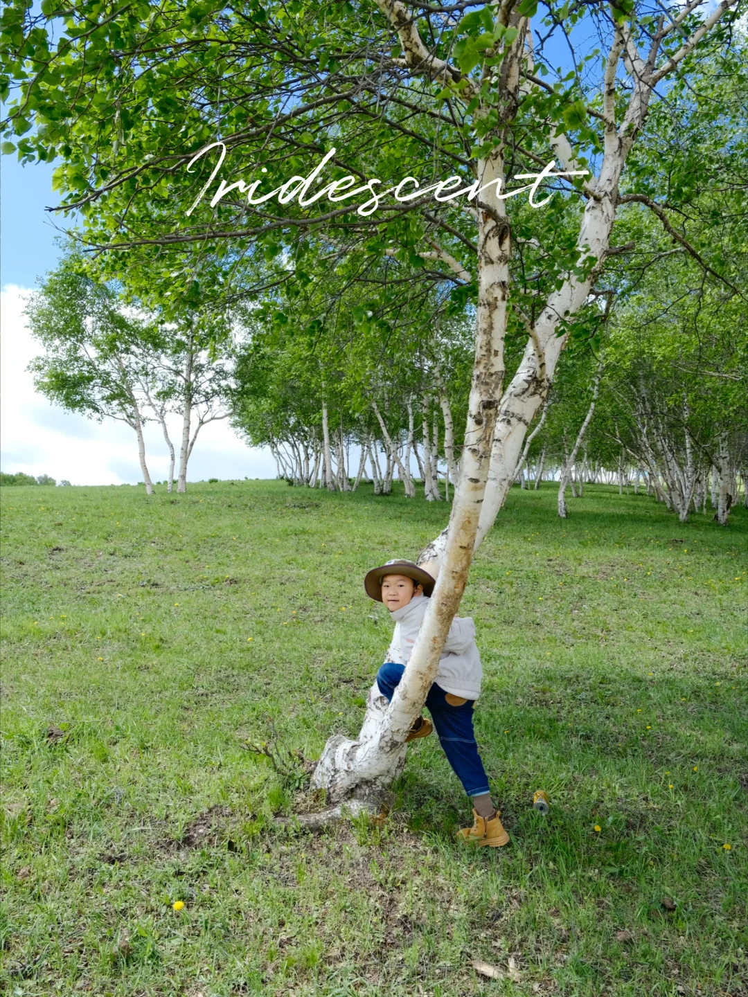 坝上草原 原来蕞美的风景居然都免费🆓