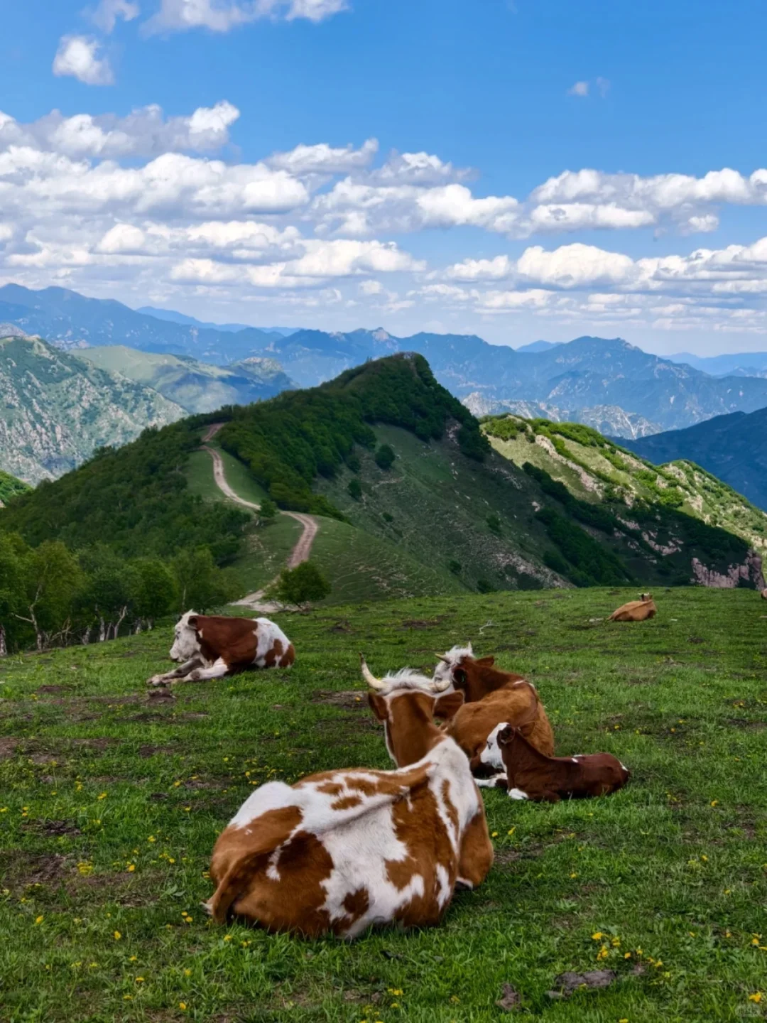 这里不是阿勒泰 是河北蔚县