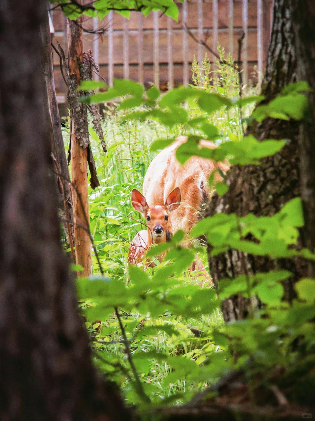 被治愈的生活底片，你抓住了嘛？