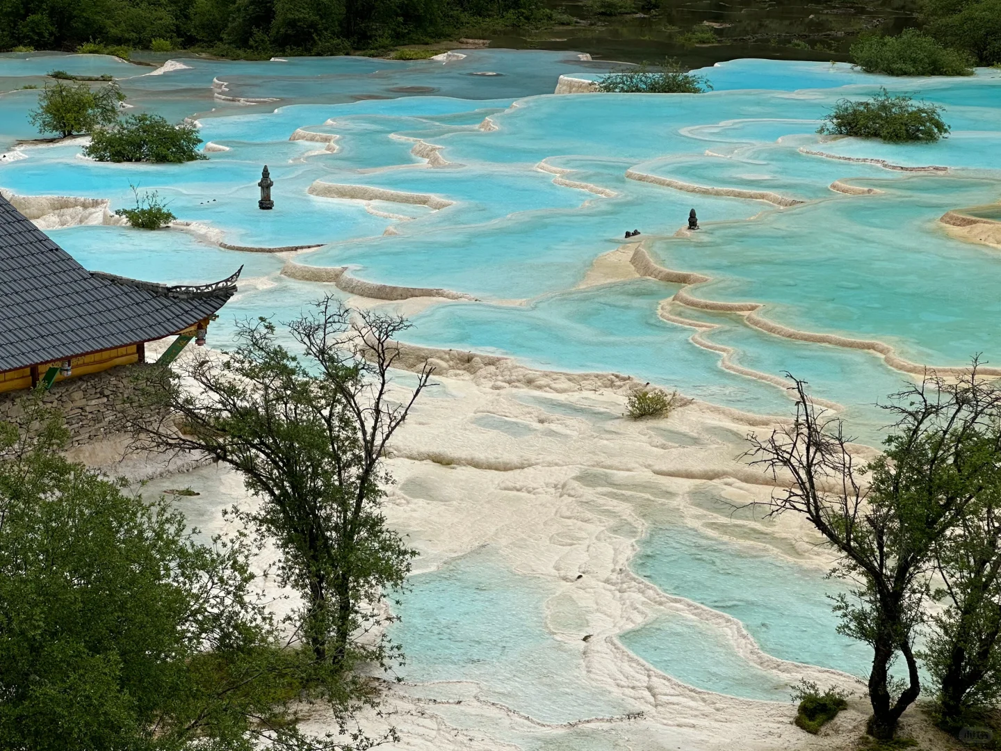 黄龙很美，但我已累成🐶。。（附live图）