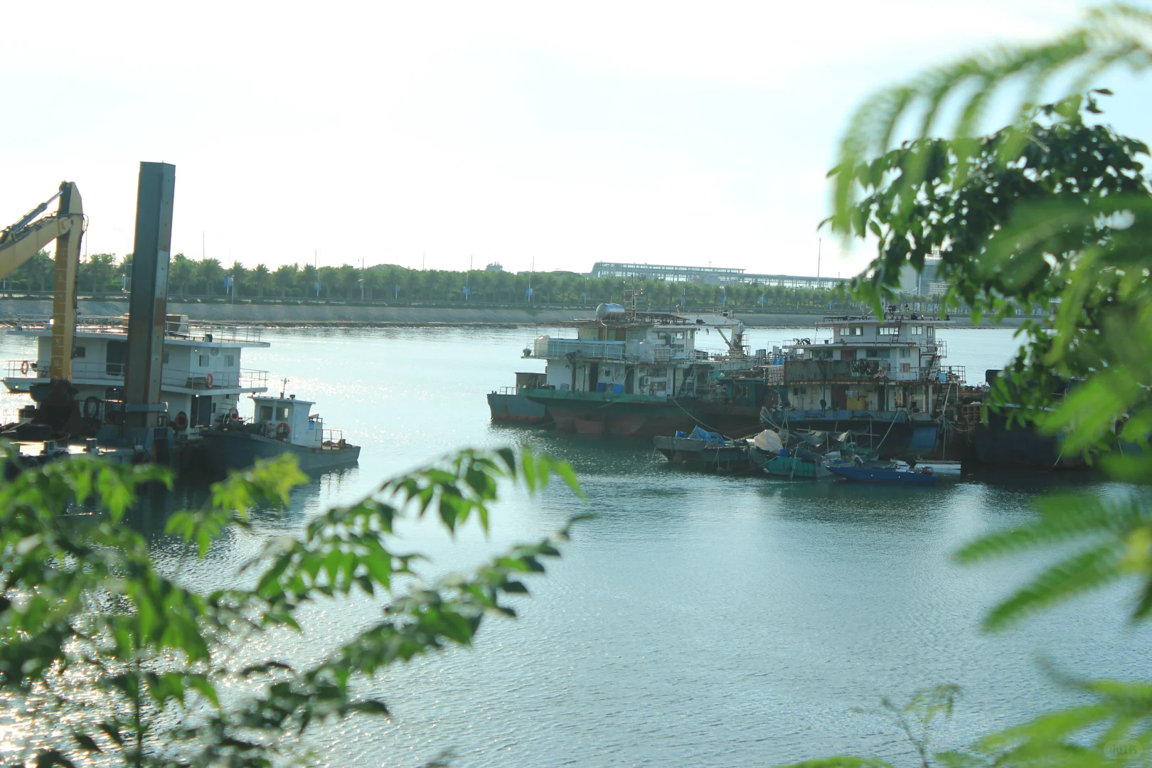 去广西旅游,我是怎么把每一个坑都踩遍的?