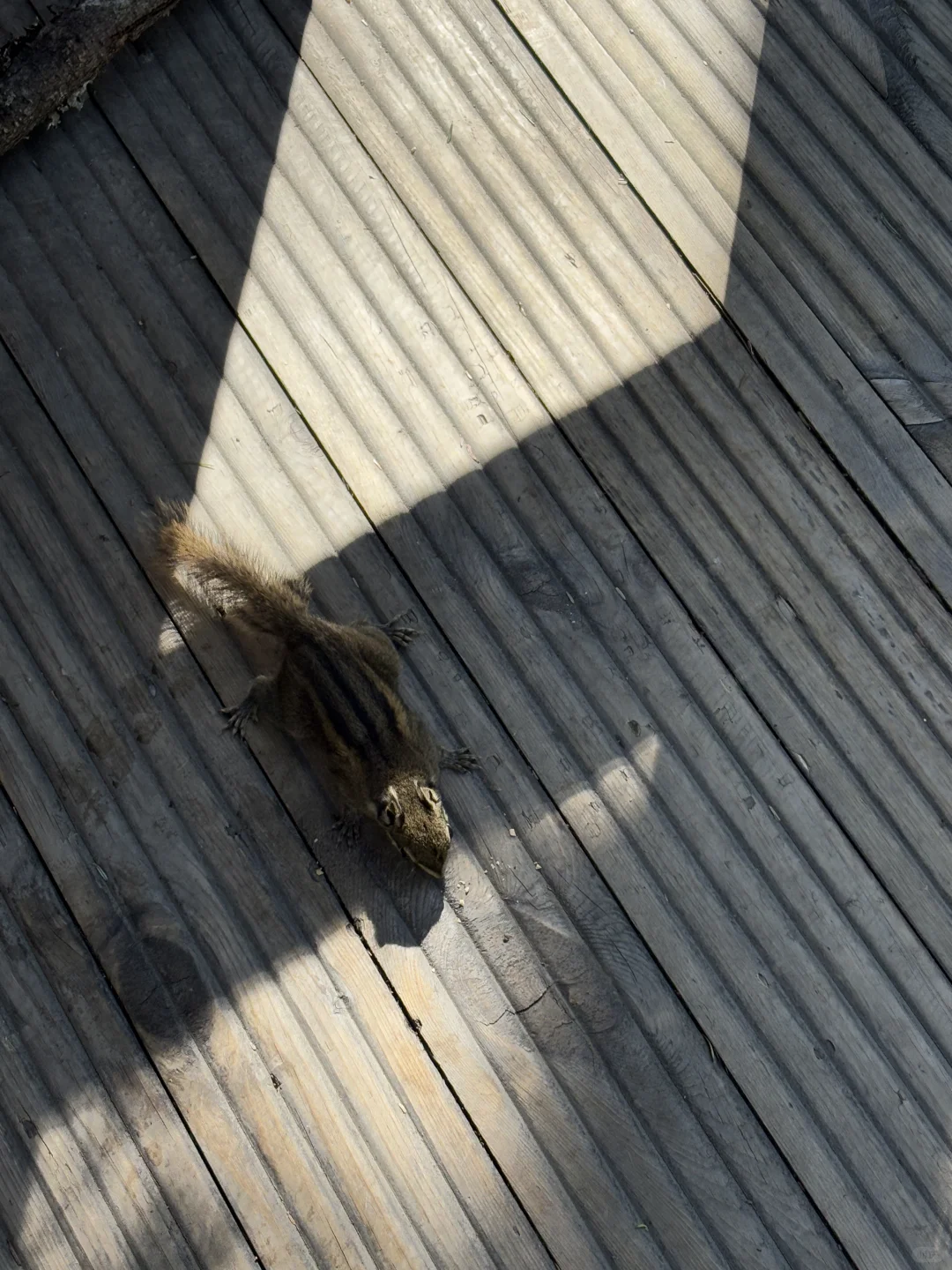 到底是谁在说黄龙九寨不好看的!