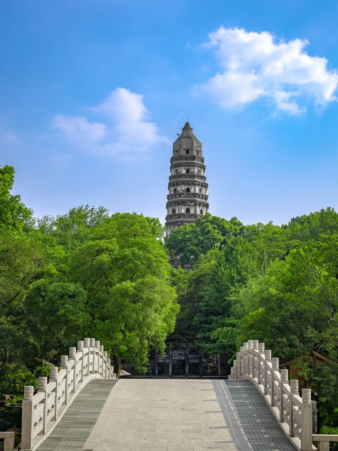 被苏州这极致的中式传统凌霄花美学❗️惊到了