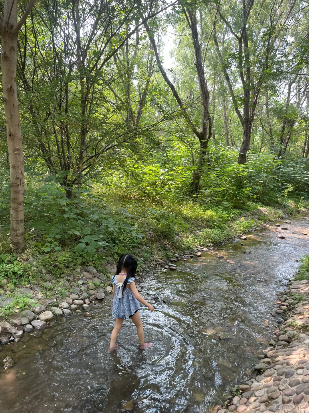 石家庄遛娃丨今天我们走水路💦小森林的河道