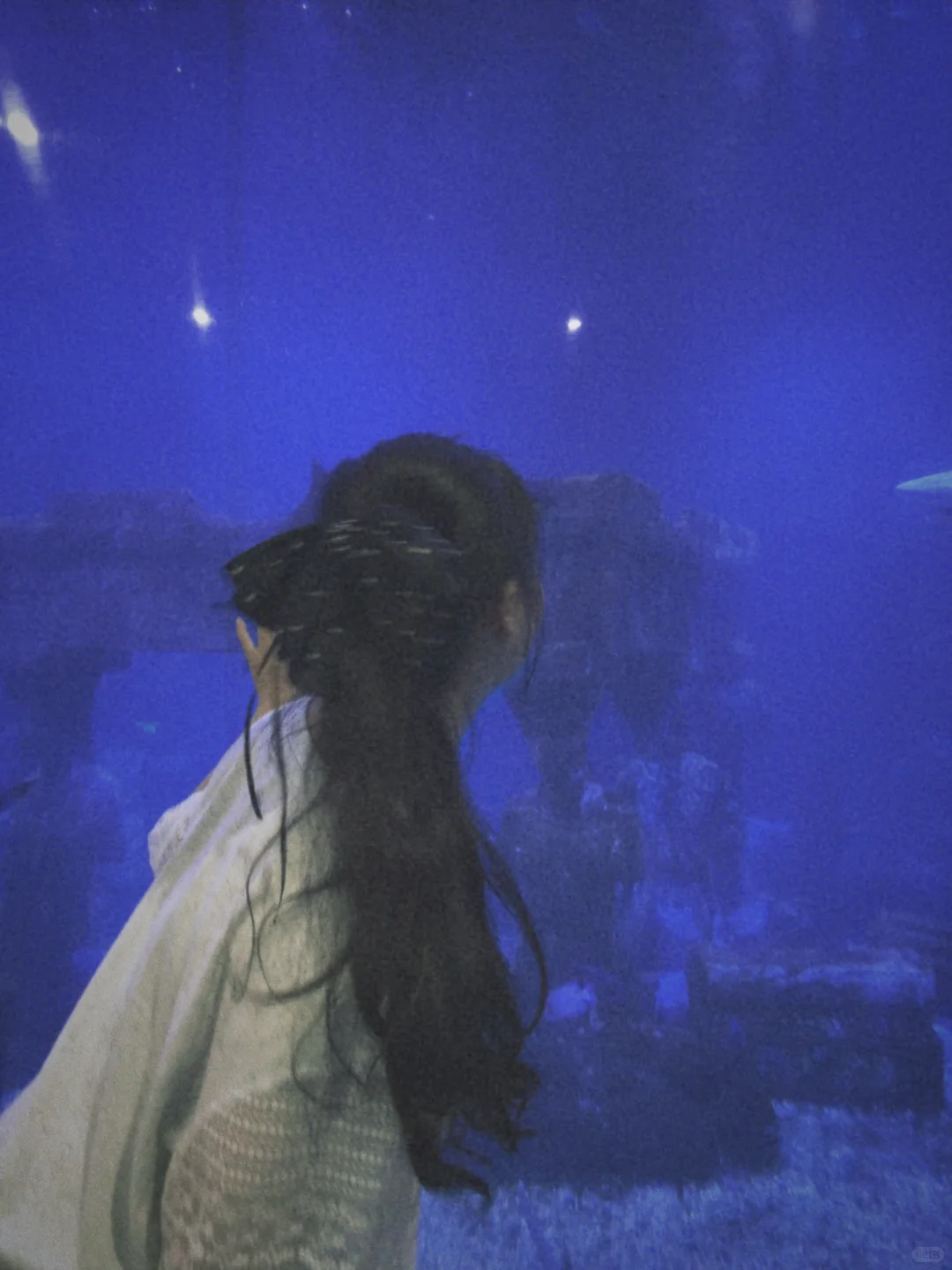 记录每一次旅游