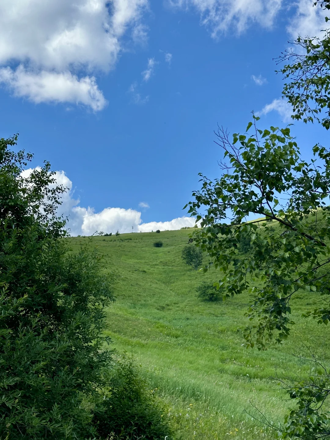 京郊阿勒泰✧🧺...𝙃𝙖𝙥𝙥𝙞𝙣𝙚𝙨𝙨 ˡ̵˖☻˚