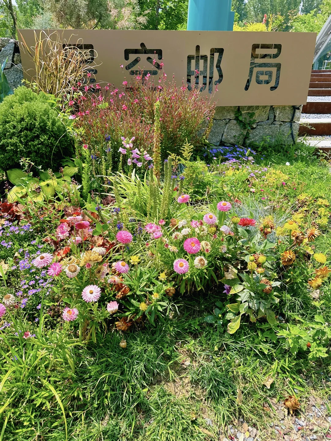 💐莫奈花园秘境，绿野仙踪｜泰安打卡