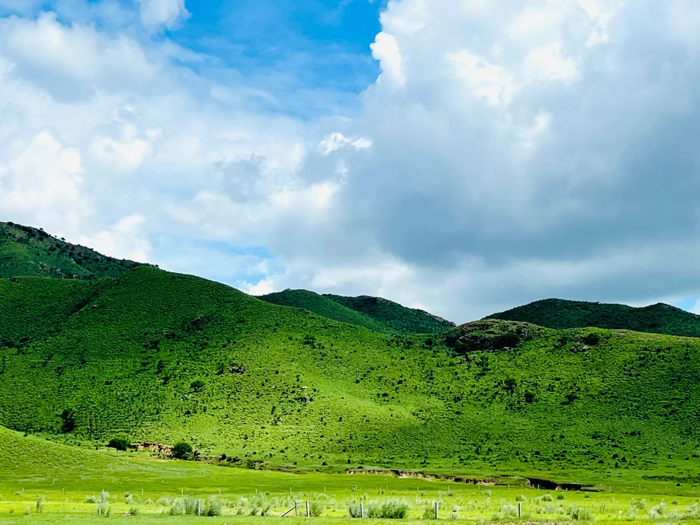 这样的草原谁不爱呢🐎离辽宁很近的草原