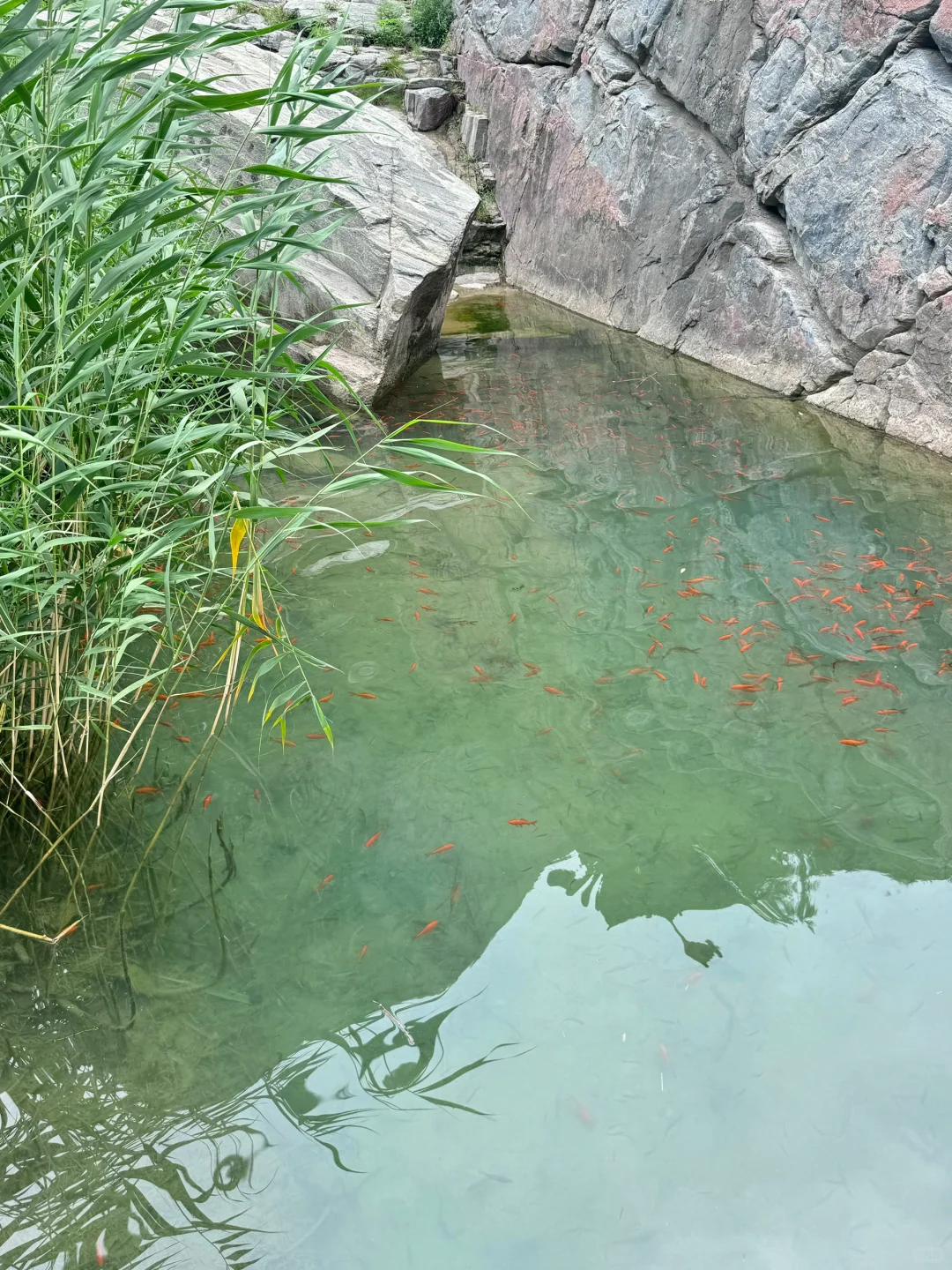 宝泉你真的过分了！一日游保姆级攻略！