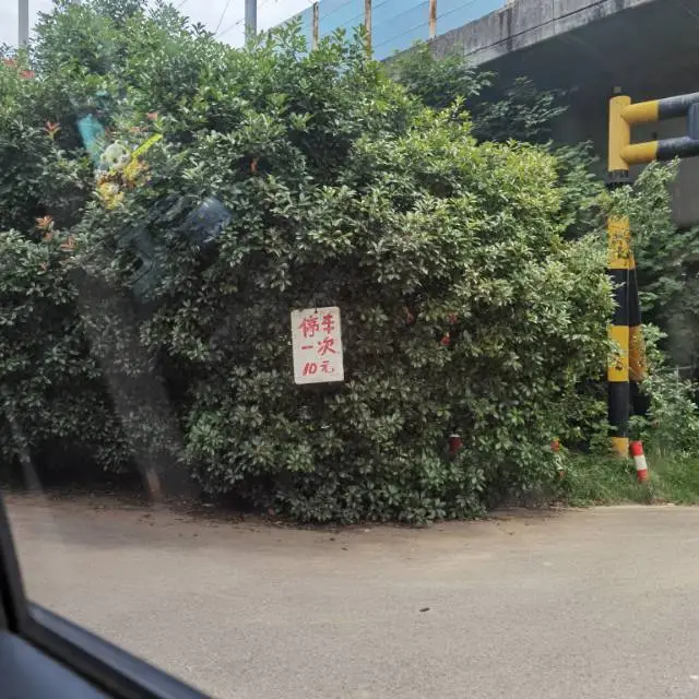 避雷，东湖落雁景区