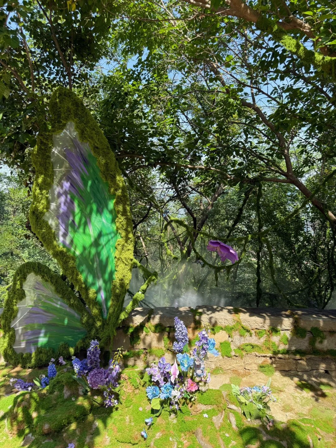 泰安开车2小时!发现绝美森林秘境🌳🦋