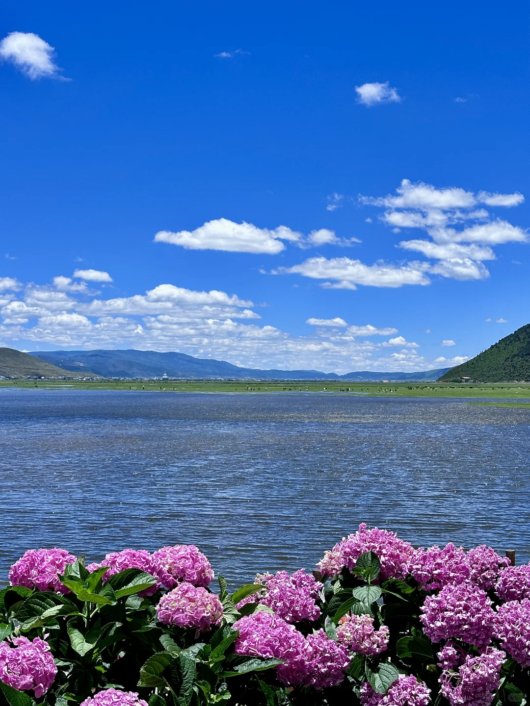 📍香格里拉|今日实况纳帕海惊现彩虹🌈
