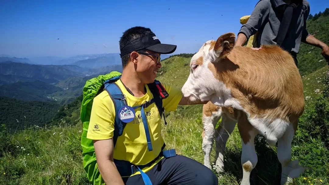 南北驼梁——看最美金莲花