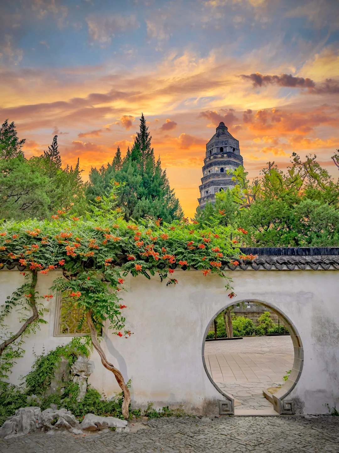 被苏州这极致的中式传统凌霄花美学❗️惊到了