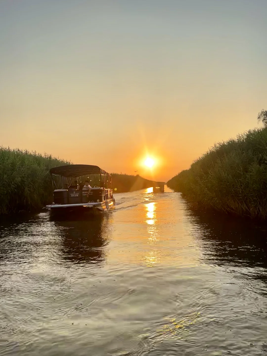 真的不敢相信！在白洋淀遇到了坠美日落🌅