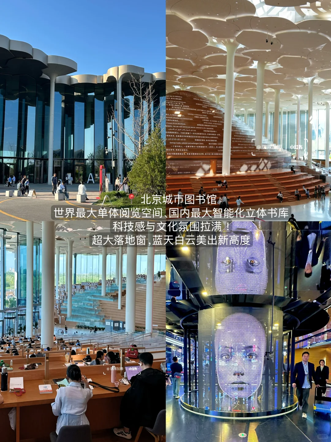 合集：）北京最好的地方都是免费的