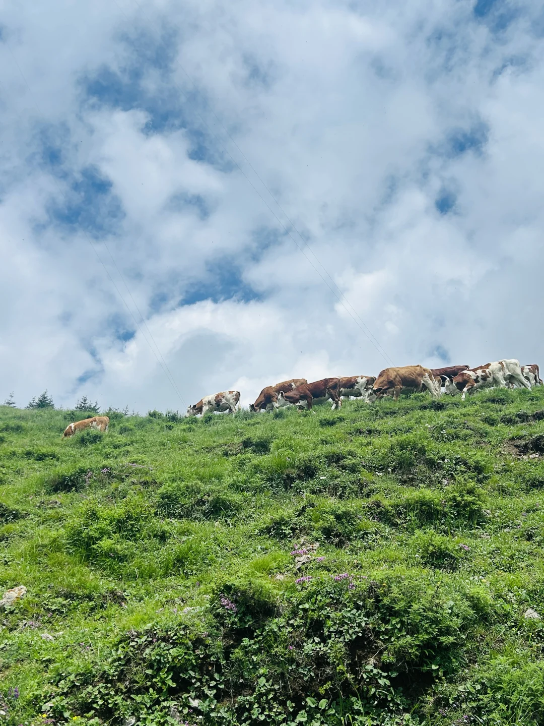北京周边📷｜出片率200%的麻田岭⛰️