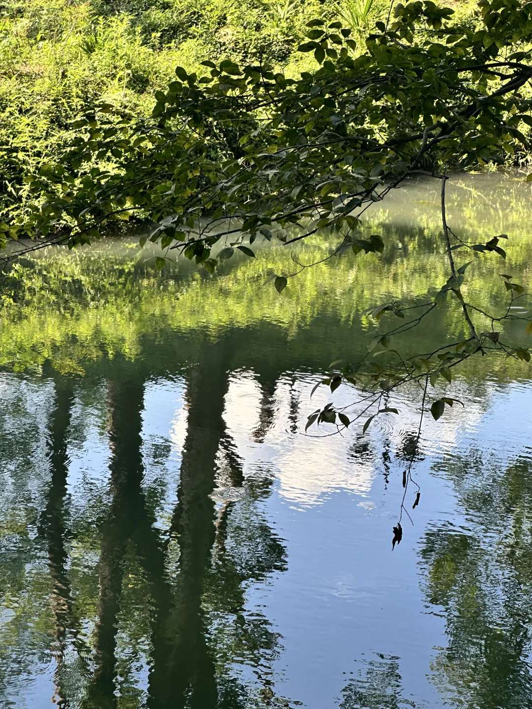 💰0元玩转苏州!私藏的免费神仙景区list~