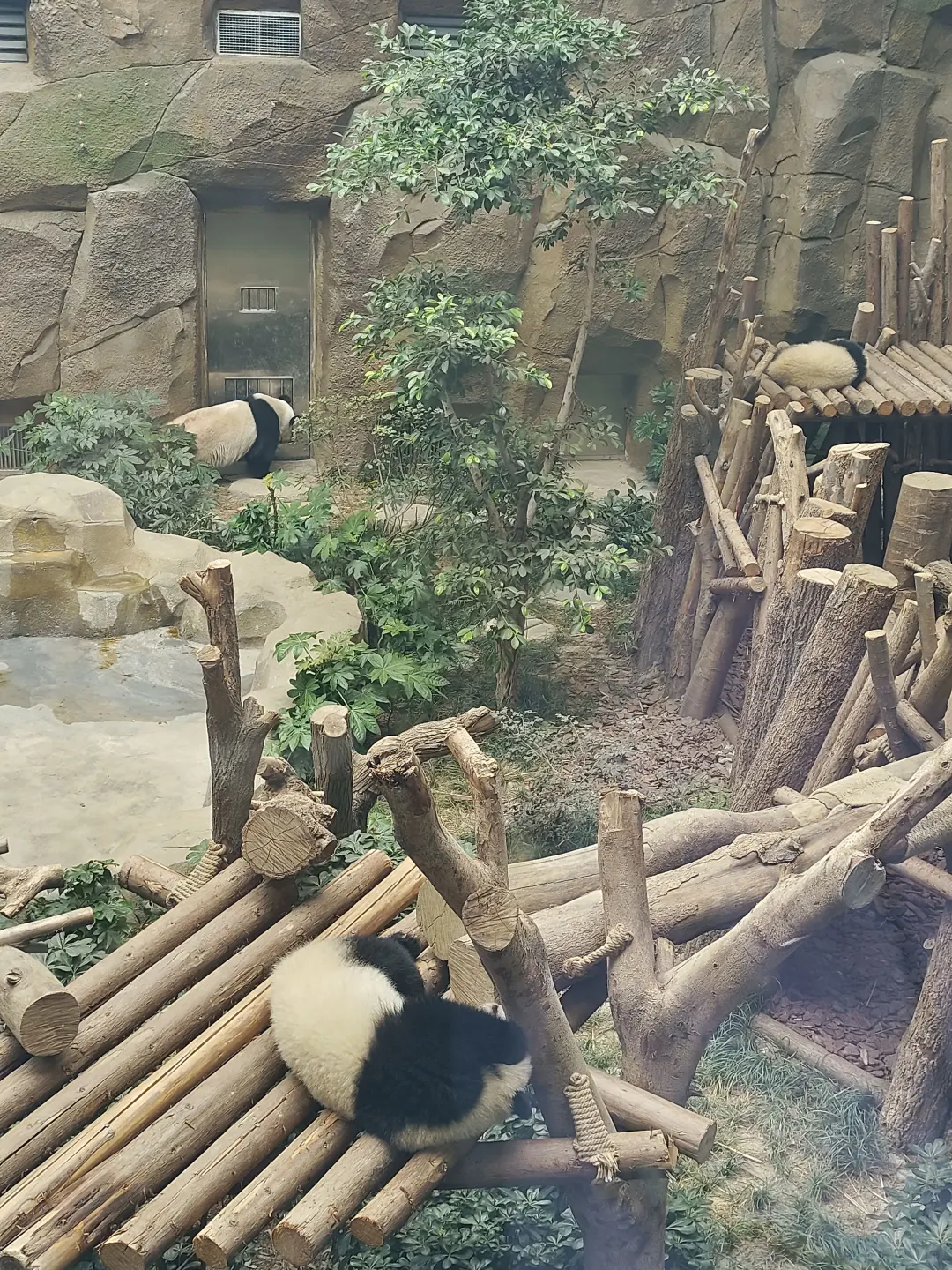 8-9月来成都玩的姐妹👭做好攻略再出发