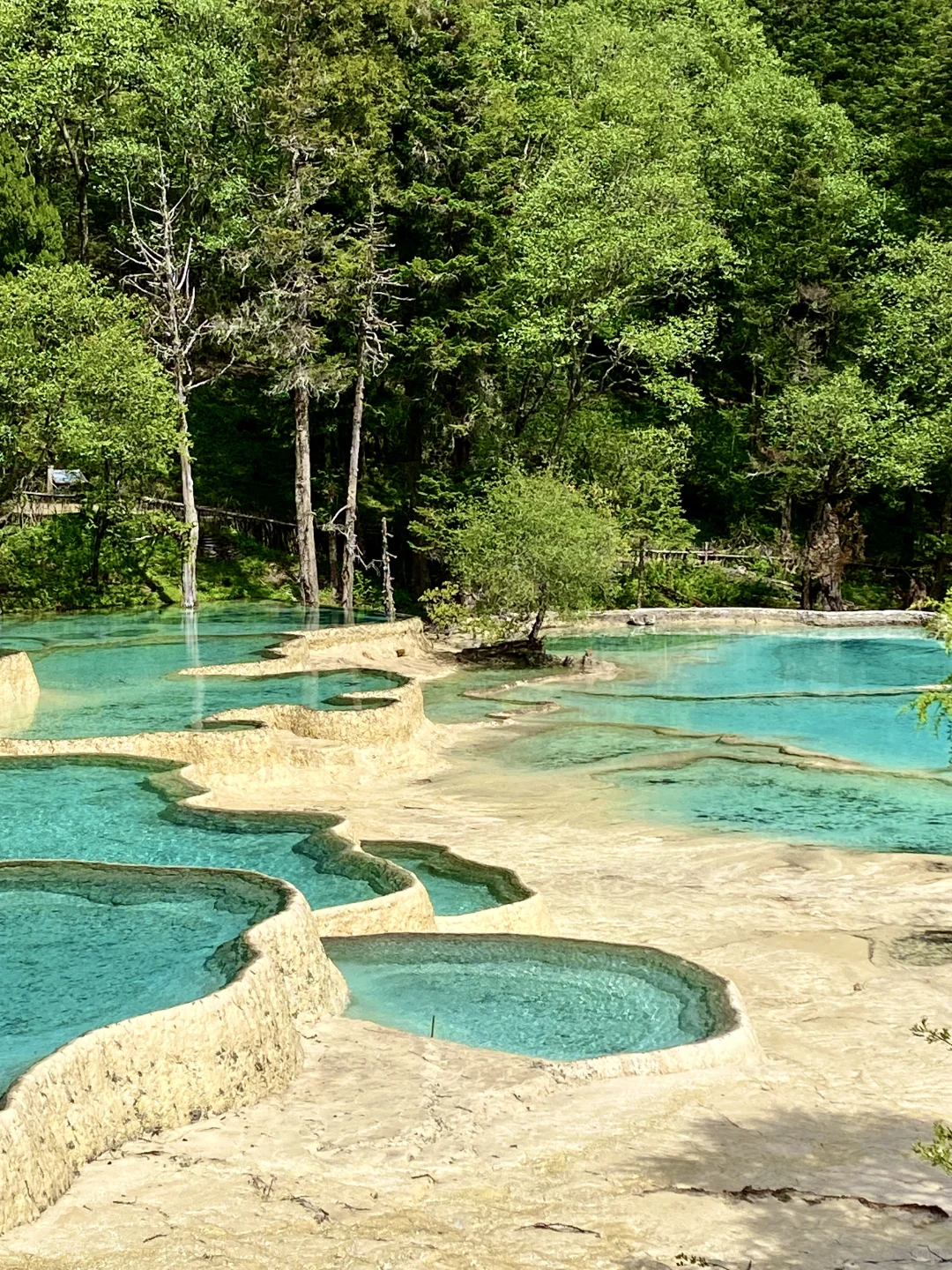 黄龙争艳池&五彩池💙💚