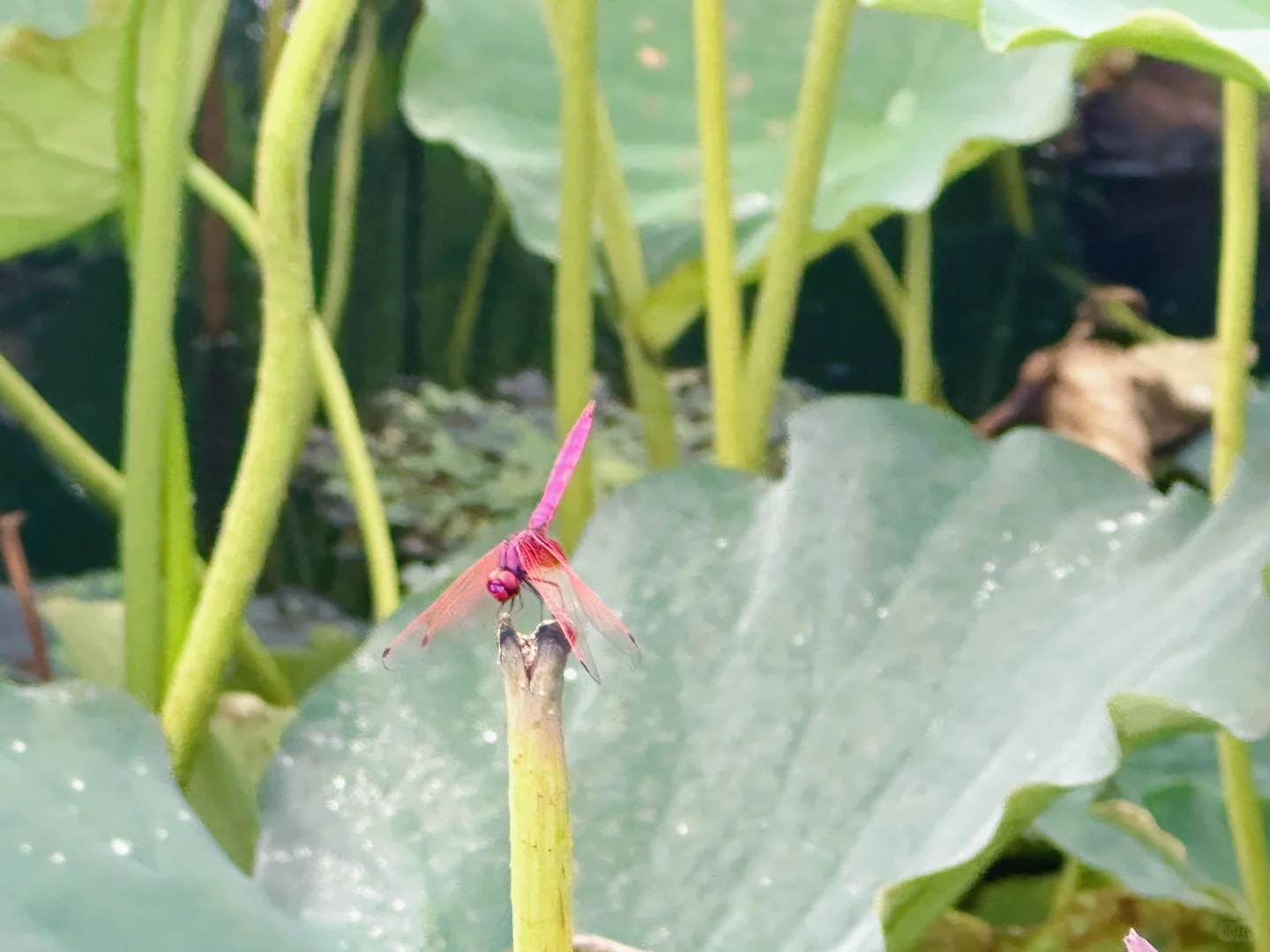 一定要带孩子去一次｜云南小众旅游路线🚄