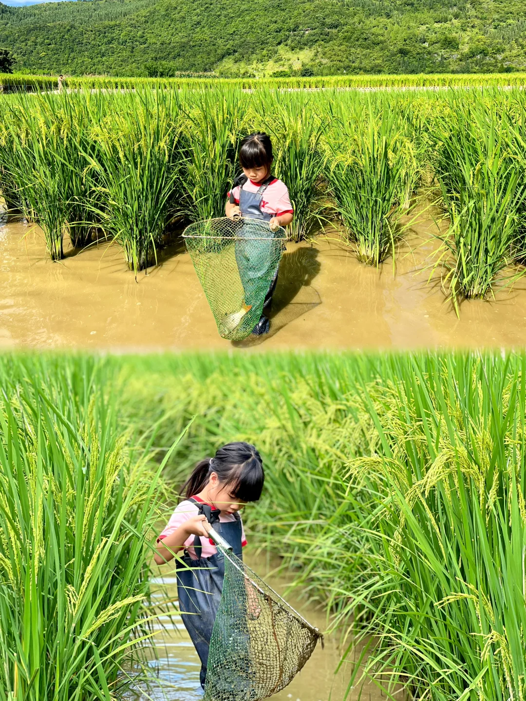 贵州兴义 | 暑假适合带娃来避暑的小众城市