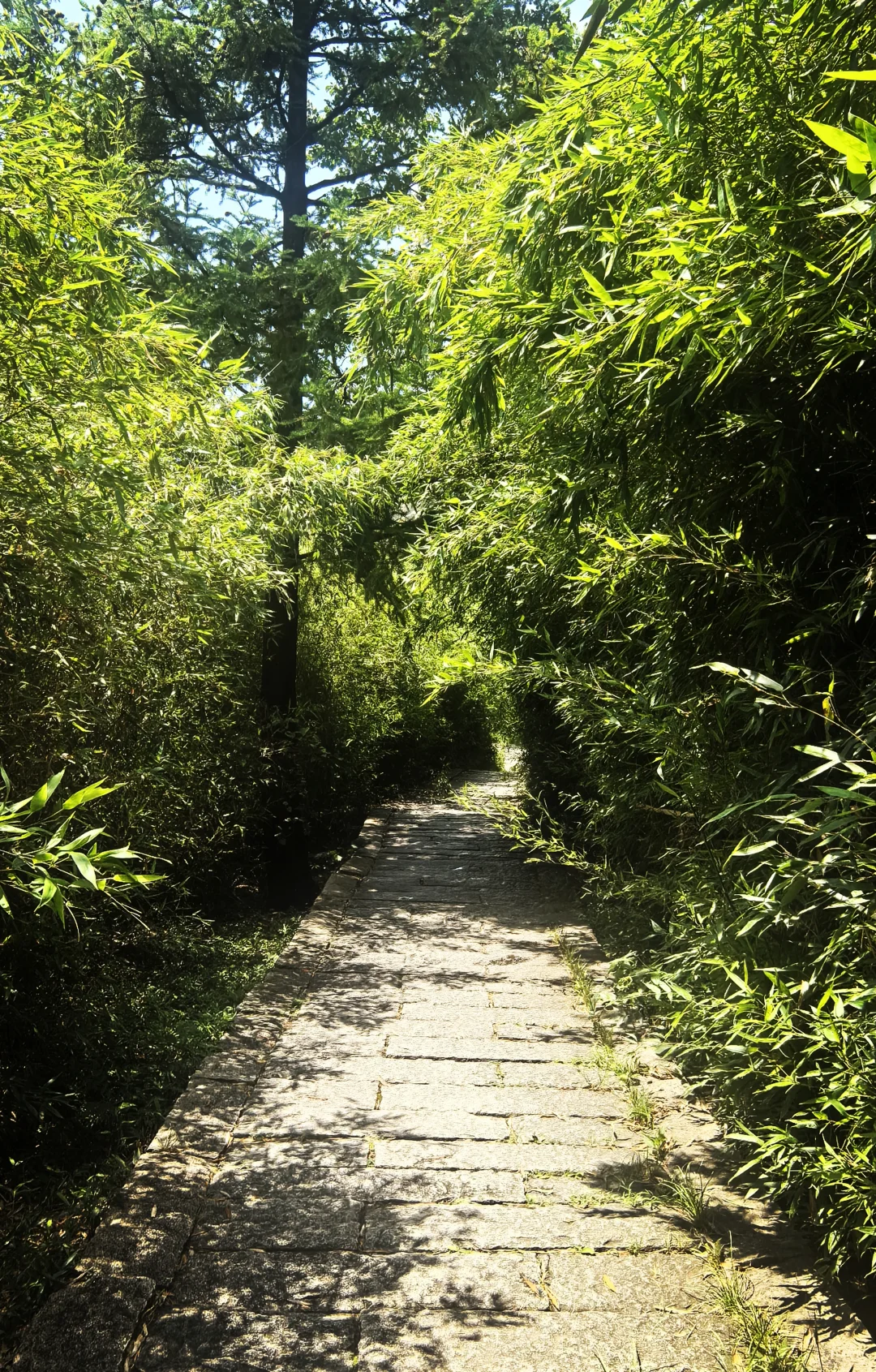 玩儿在青岛--崂山景区