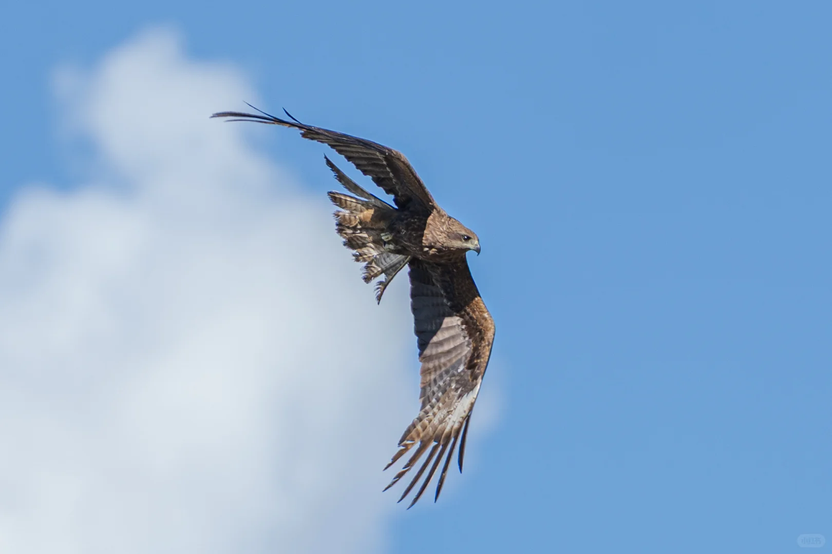 阿勒泰禾木|大自然遗落人间的油墨画🎨