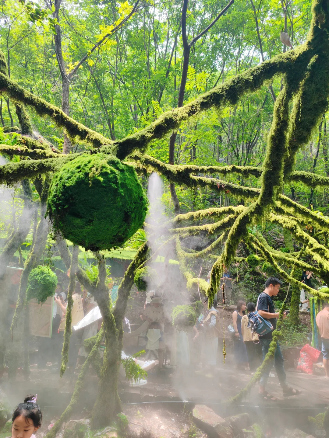🌳重渡沟｜现实版绿野仙踪
